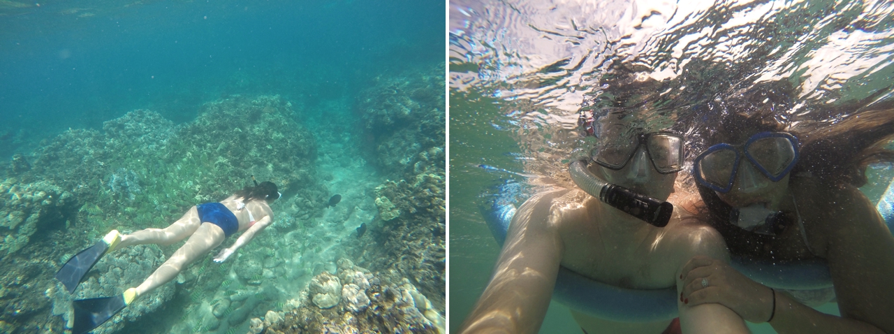 John and Brittney Naylor snorkeling in Maui Hawaii