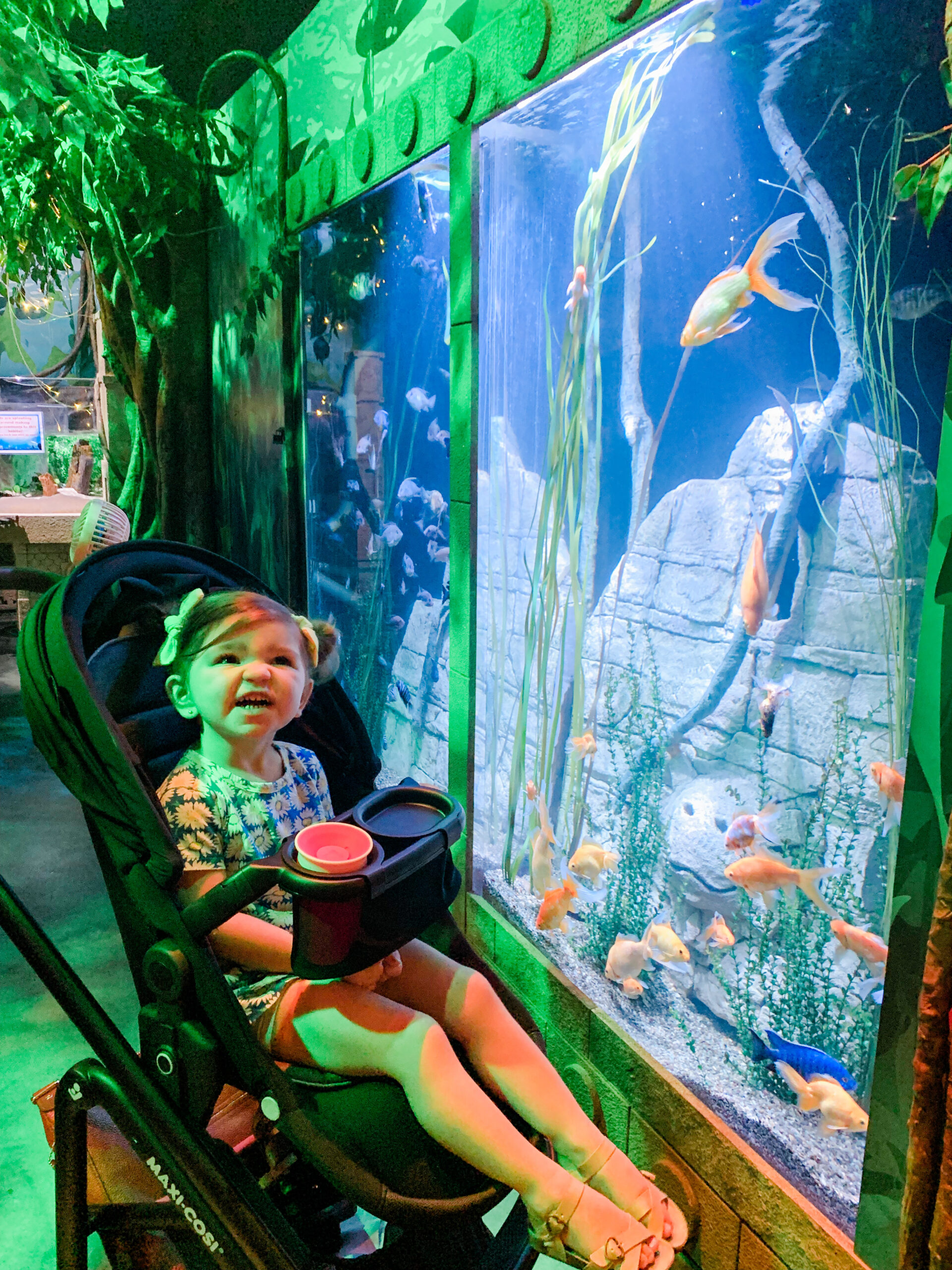 eleanor in stroller beside aquarium tank at Sealife aquarium at icon park in orlando florida