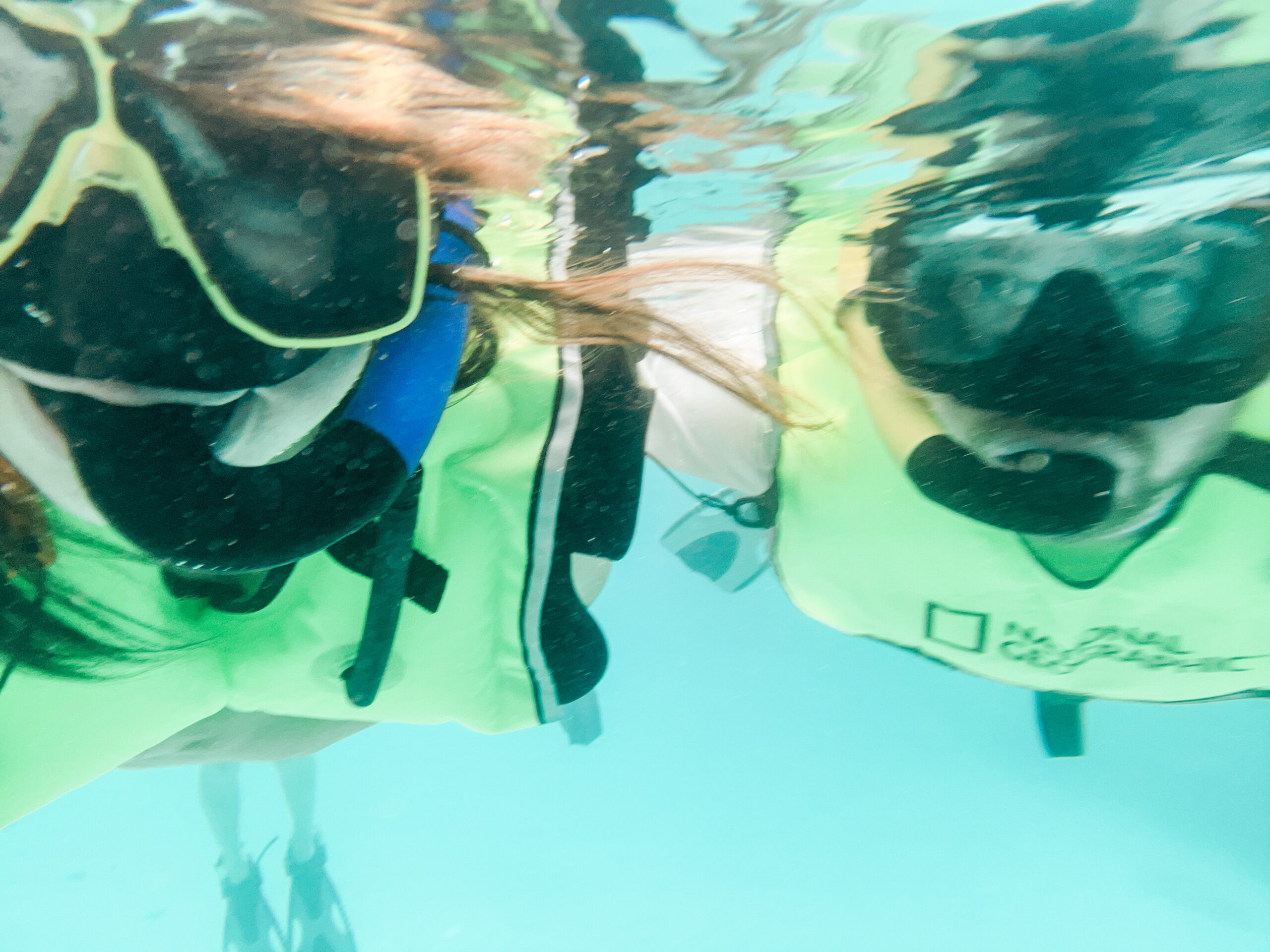 snorkeling in aruba, unmissable things to do in aruba