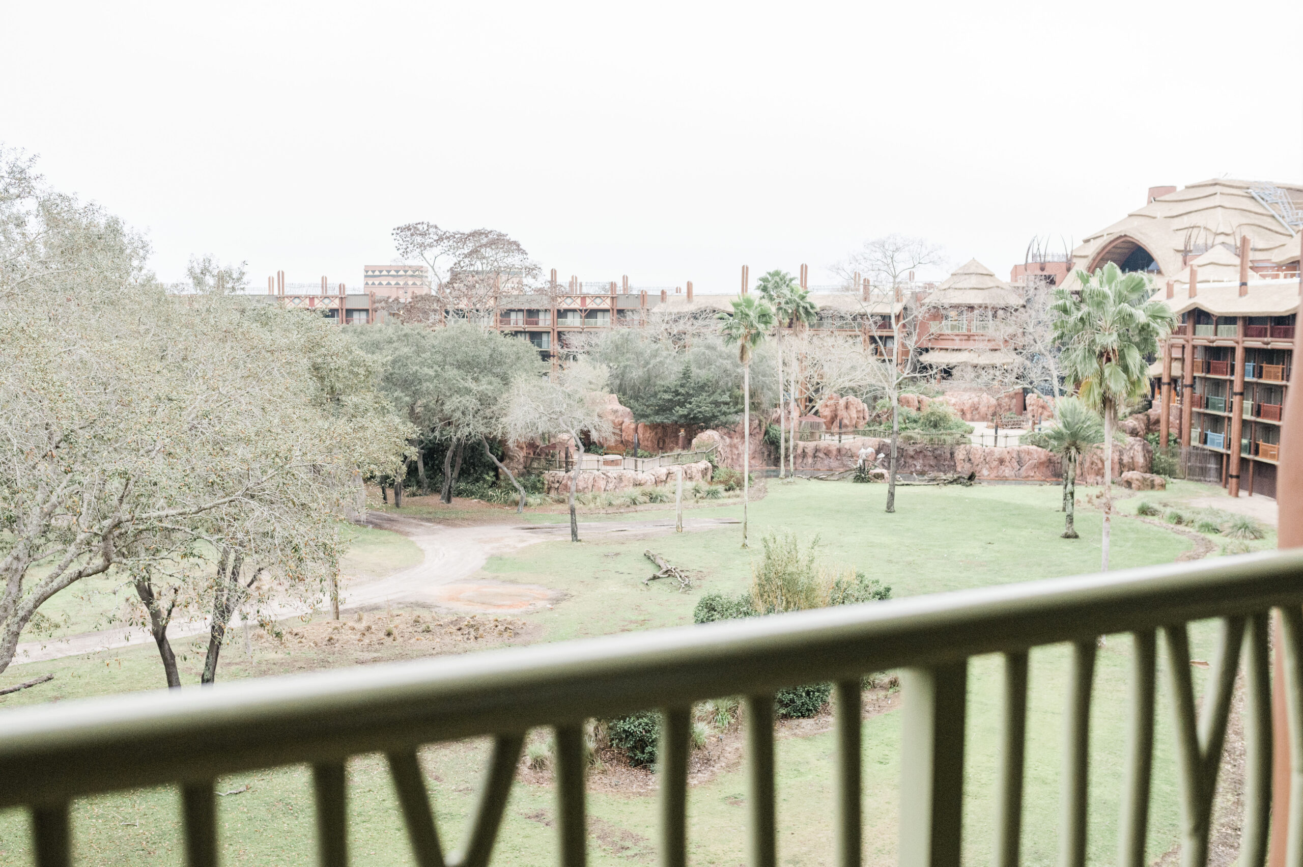 savanna view from balcony at the animal kingdom lodge villa jambo house