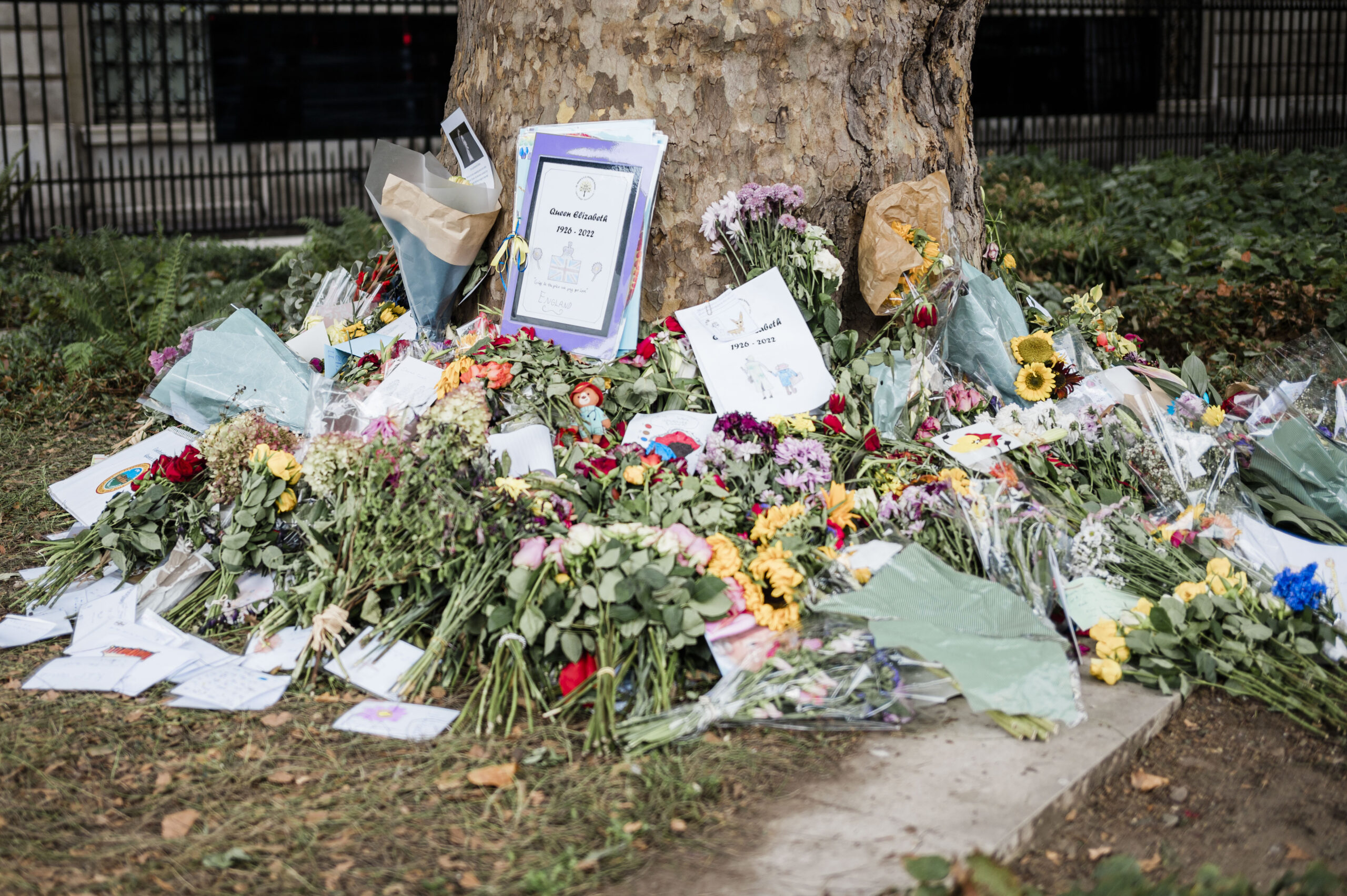 flowers for queen Elizabeth laid down by tree