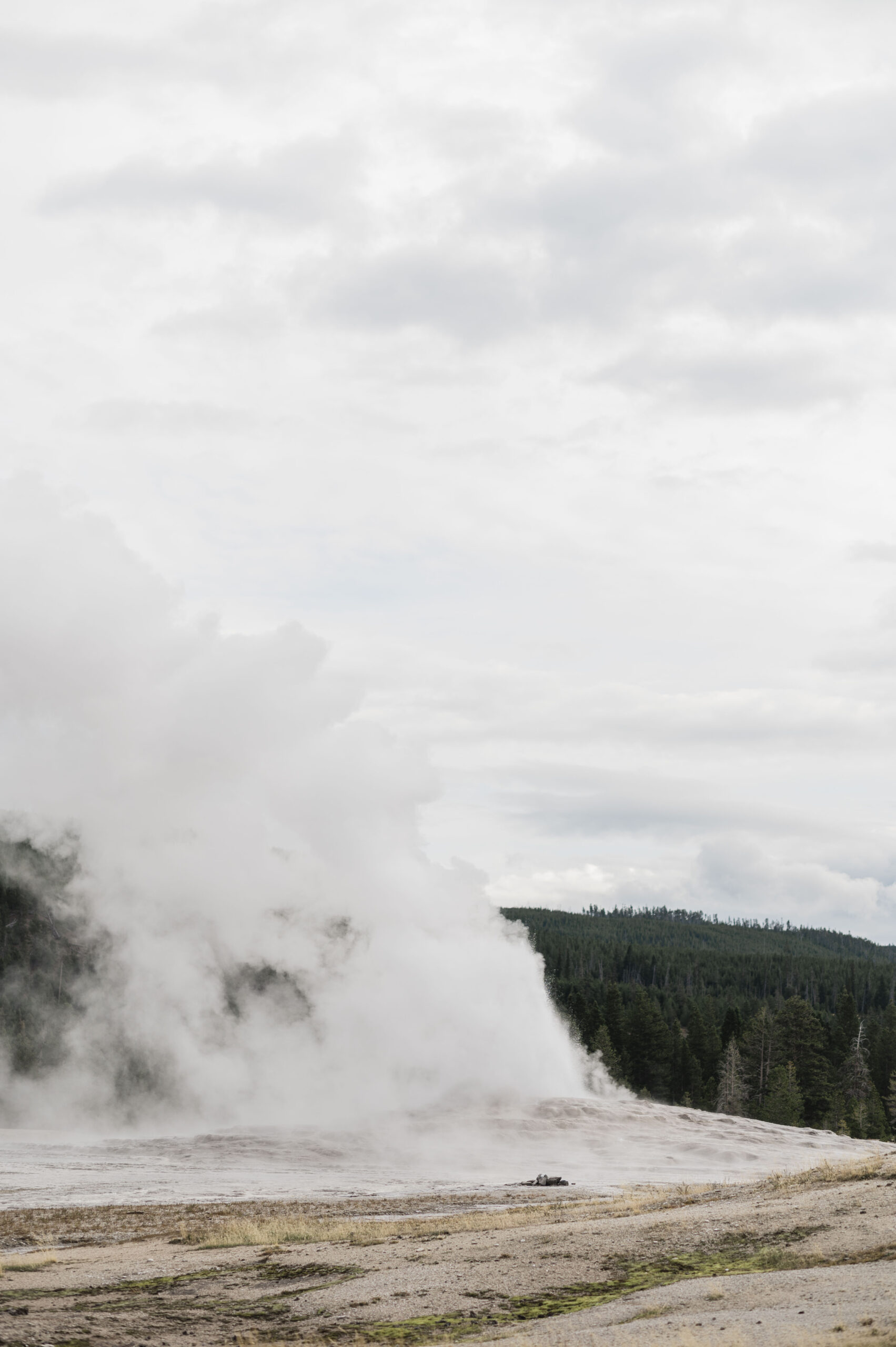 Old Faithful in Yellowstone National Park