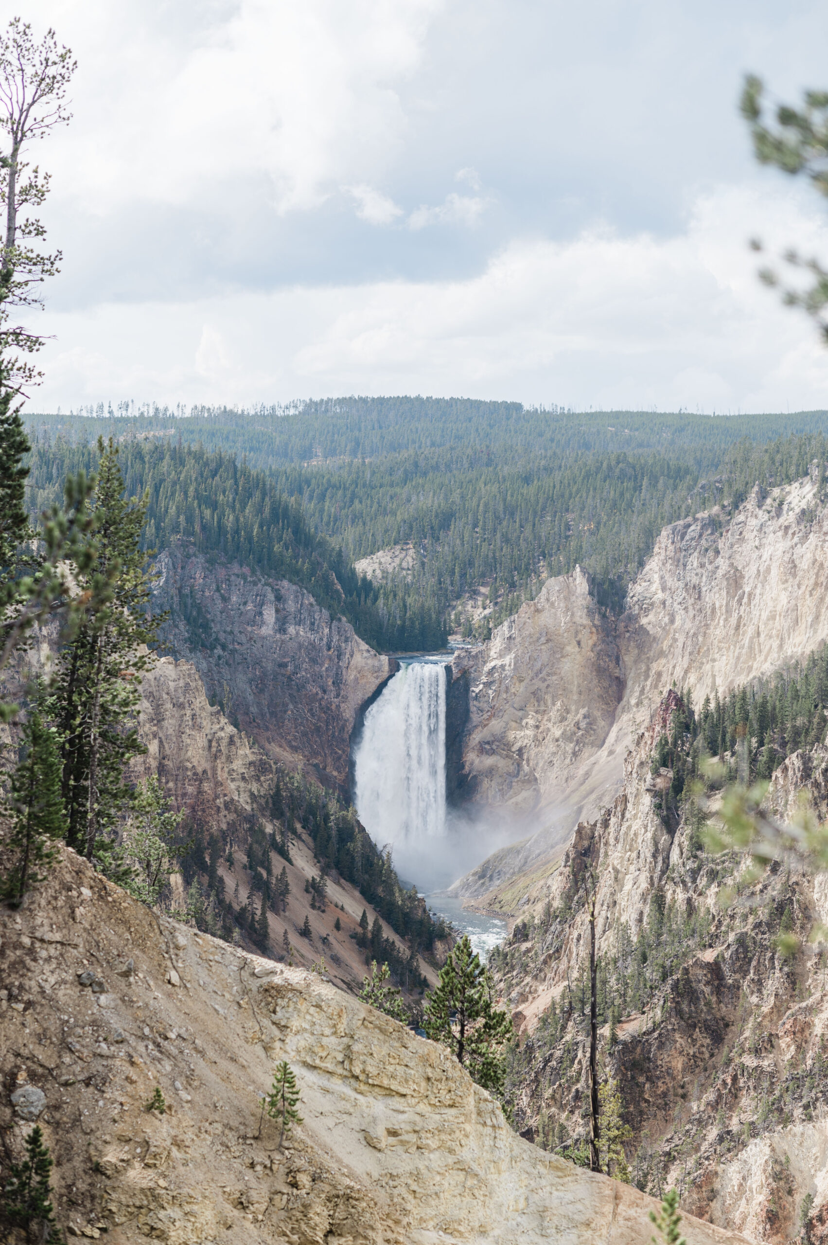 artist point in yellowstone national park