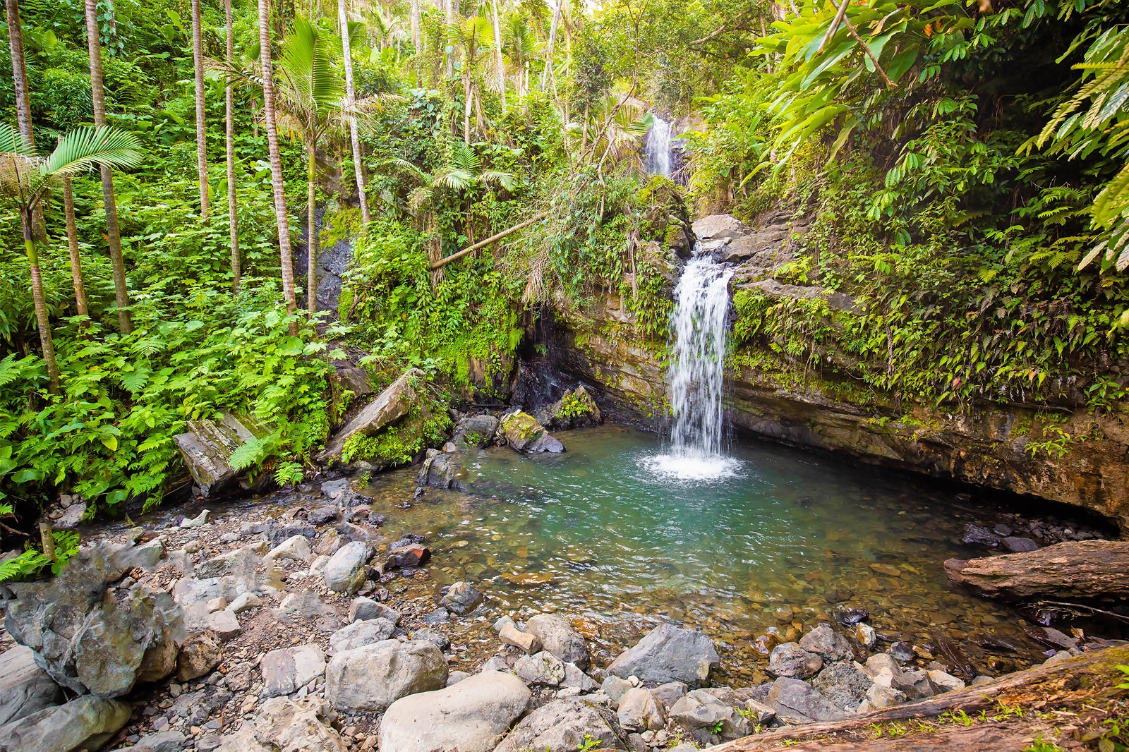 waterfall overflowing into pool of water in el yunque national forest