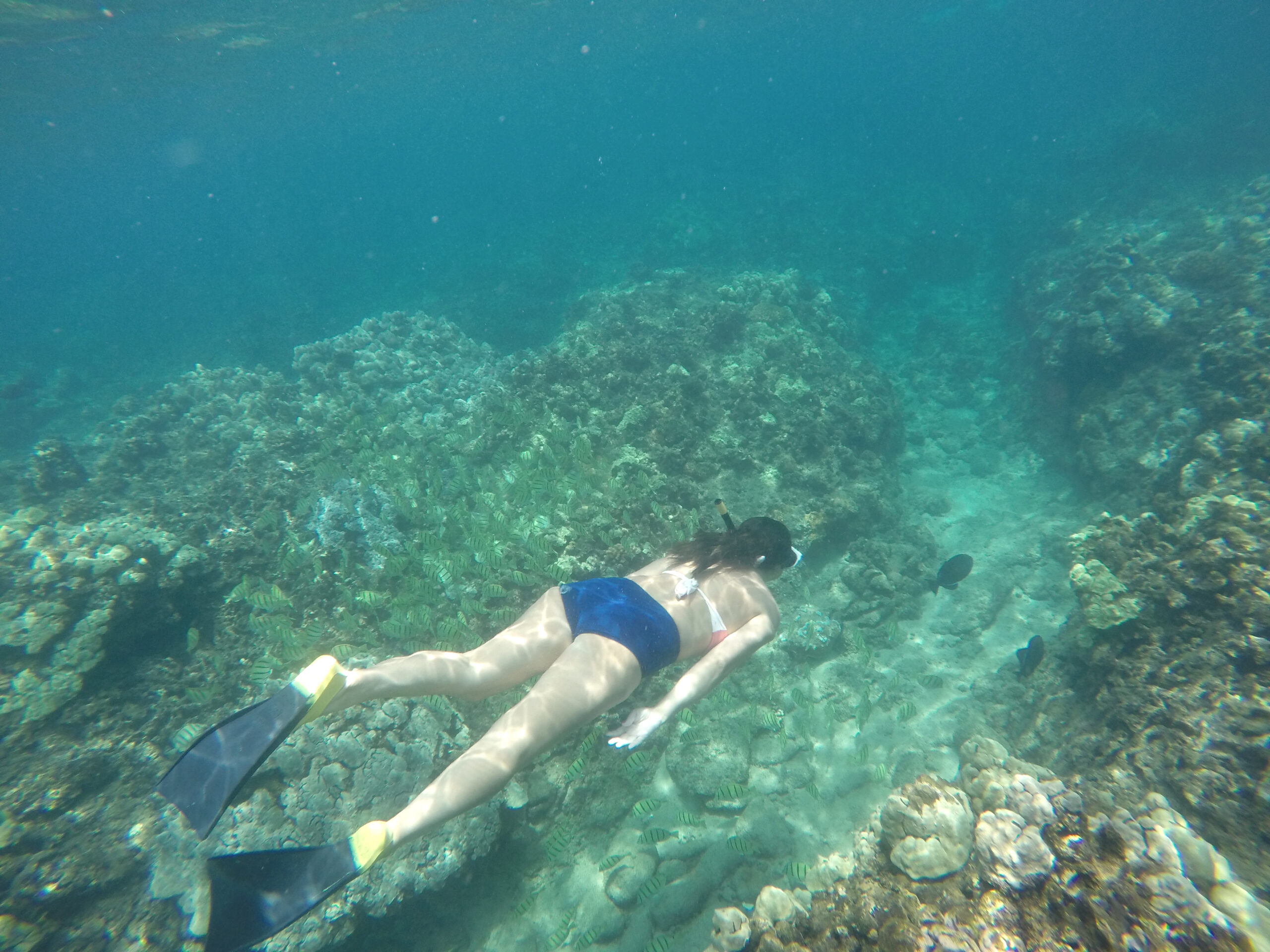Brittney Naylor snorkeling in the waters of Maui, Hawaii