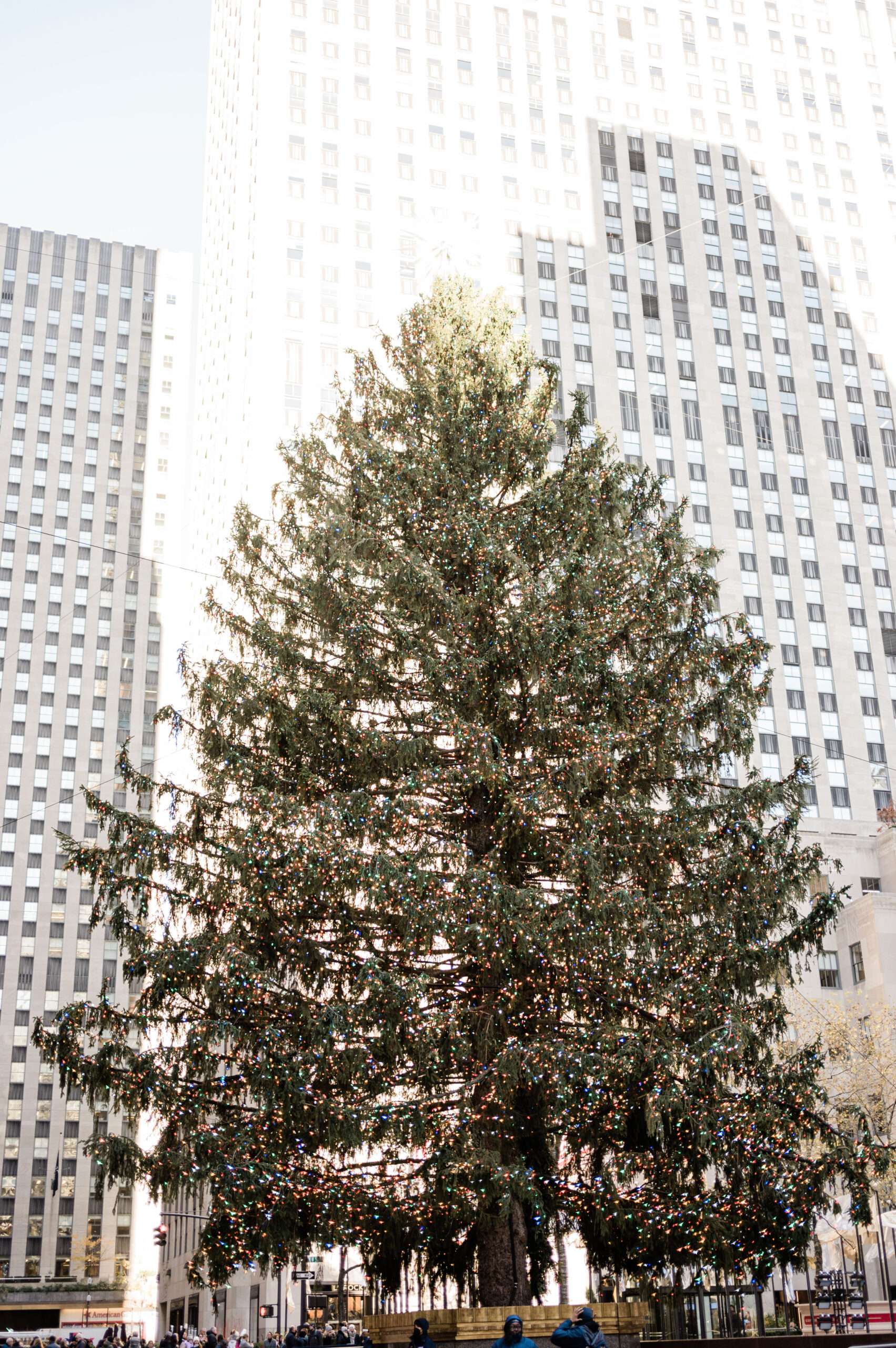 Rockefeller Christmas Tree- A NYC Christmas Time Bucket List thing to do