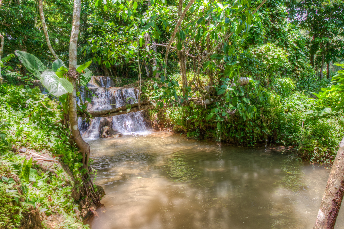 Devil Millhopper Geological Park--best day trips from Orlando