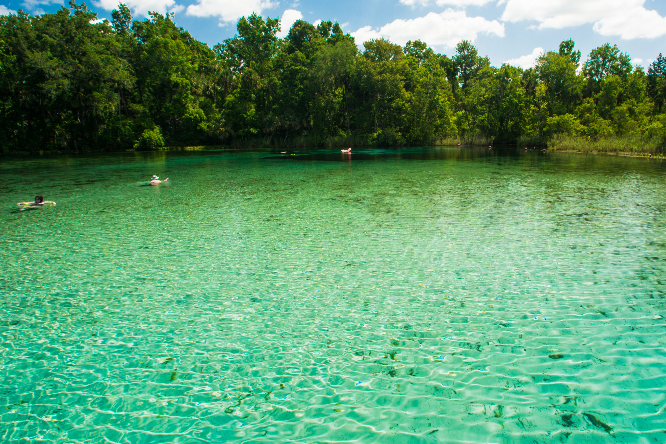 Alexander Springs in Florida, great day trips from Orlando for couples and families