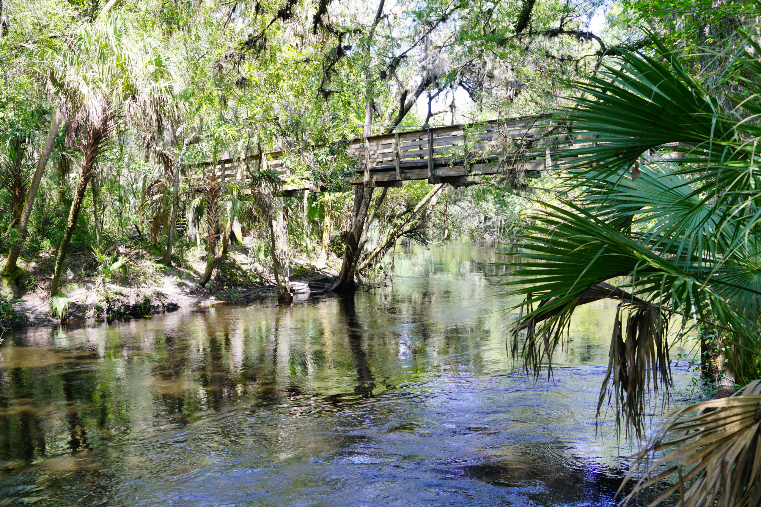 Bridge over Hillsborough River State Park