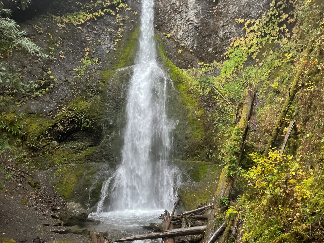 Waterfall in Olympic National Park in Washington State. Photo by Marissa of Road Trip Wanderers