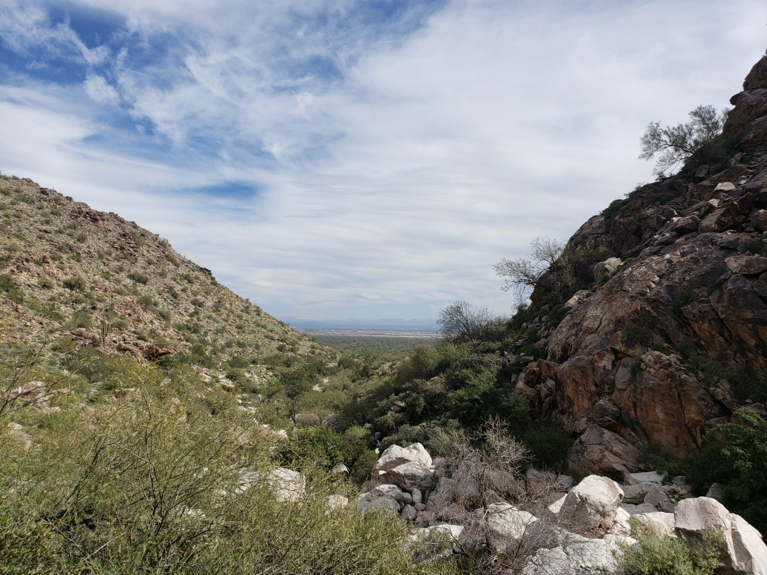 White Tank Mountains, Phoenix, Arizona--best places for spring break for families. Photo by Sckylar of Adventuring Dreamers