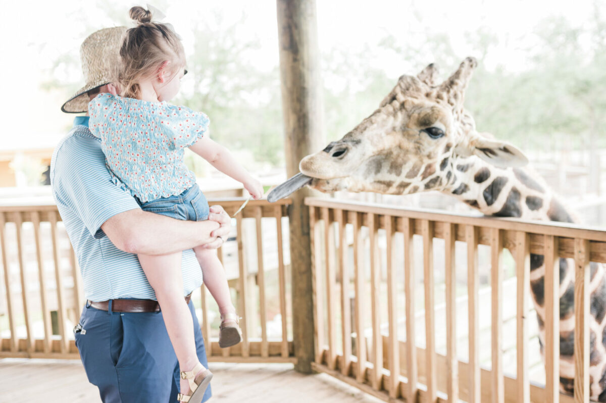 Alabama Gulf Coast Zoo, feeding the giraffes--best family activities in Gulf Shores
