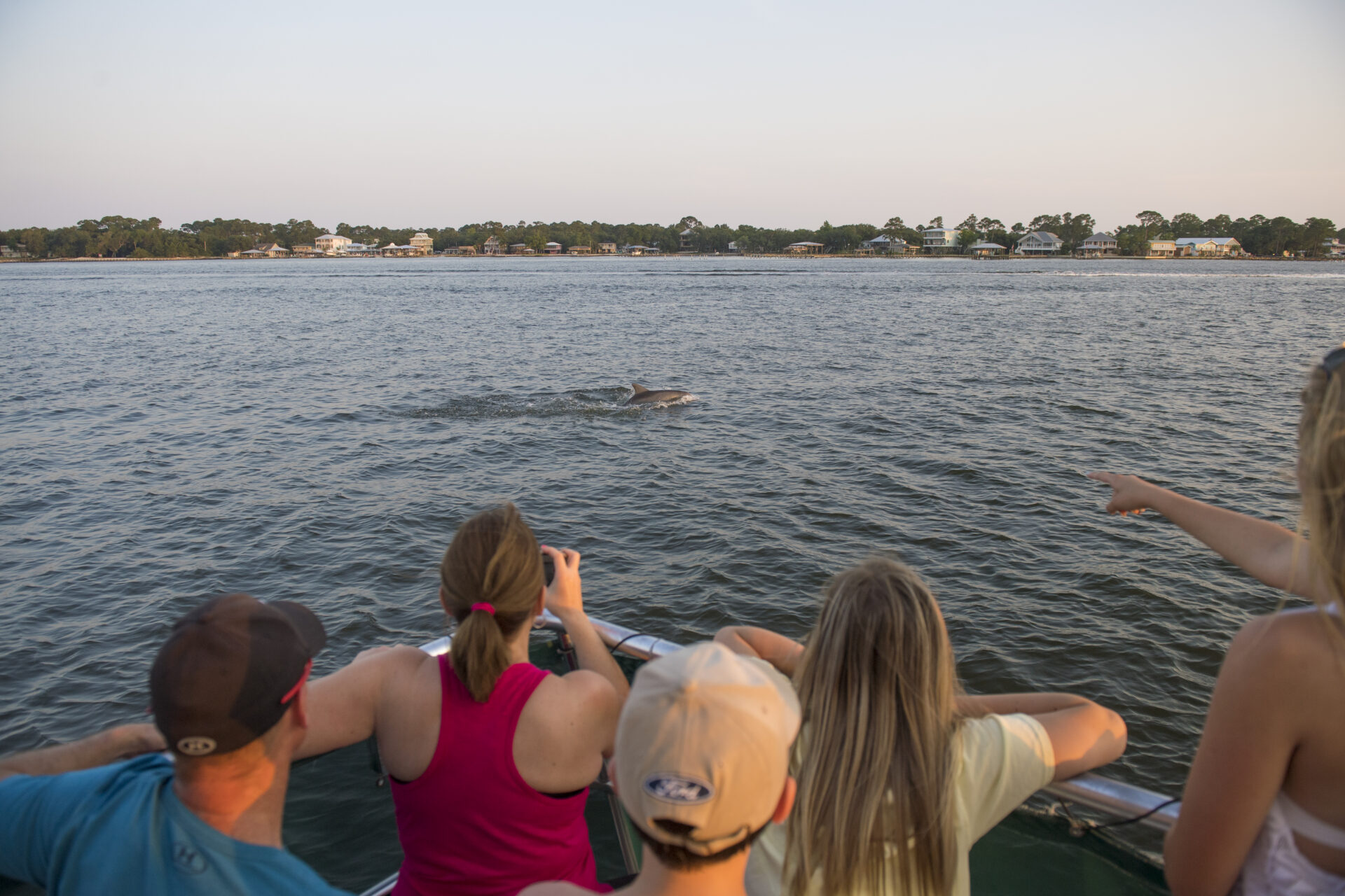 Dolphin watching cruise at sunset in Gulf Shores Orange Beach, Alabama. Photo courtesy of Visit Alabama Beaches